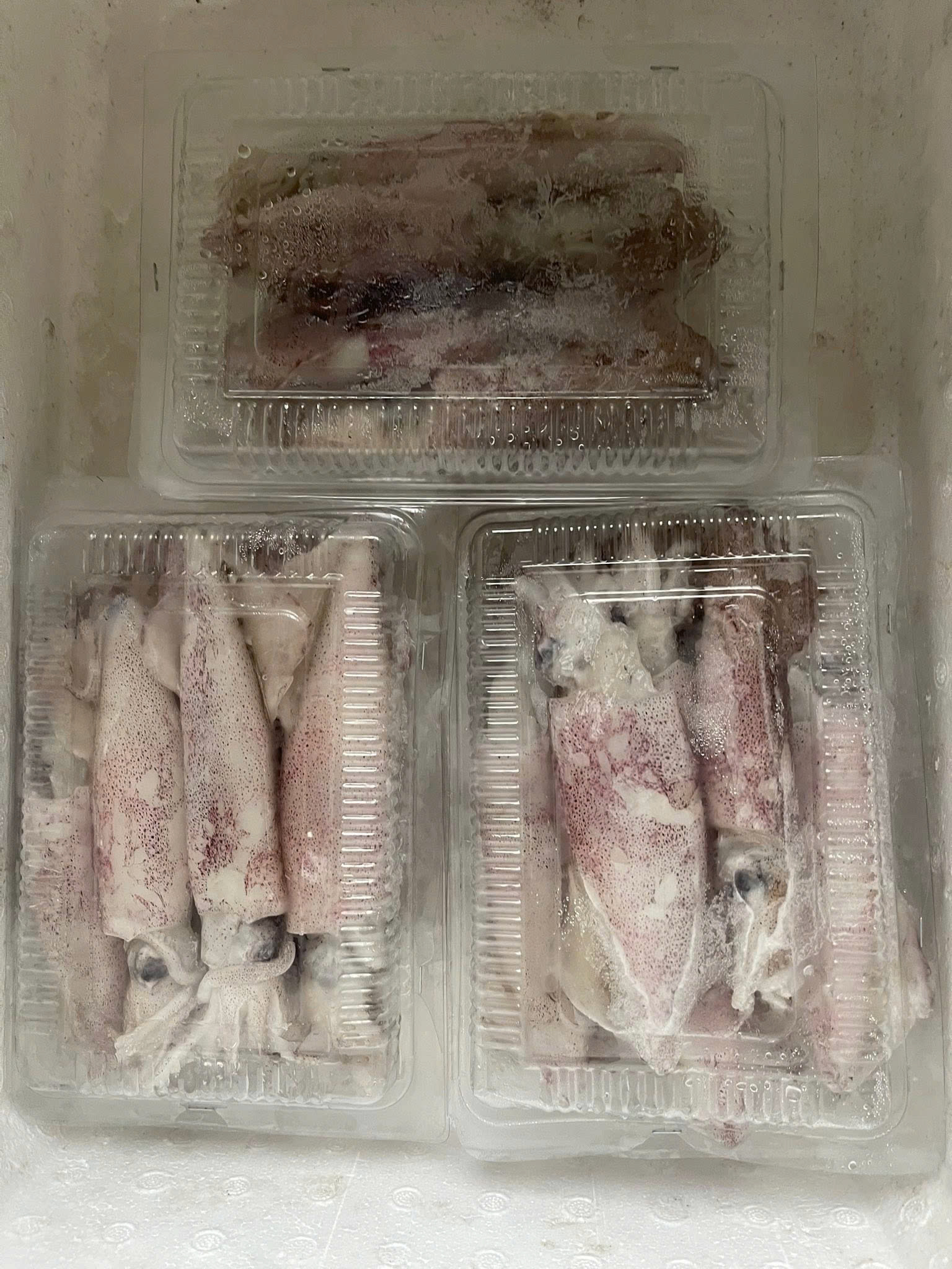 Mực tươi 2